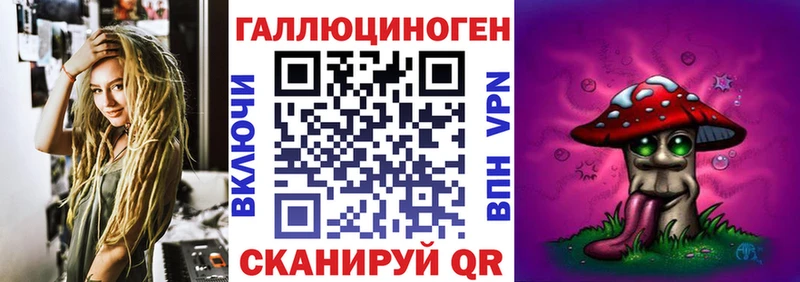 блэк спрут зеркало  наркотики  Кочубеевское  Галлюциногенные грибы Cubensis 
